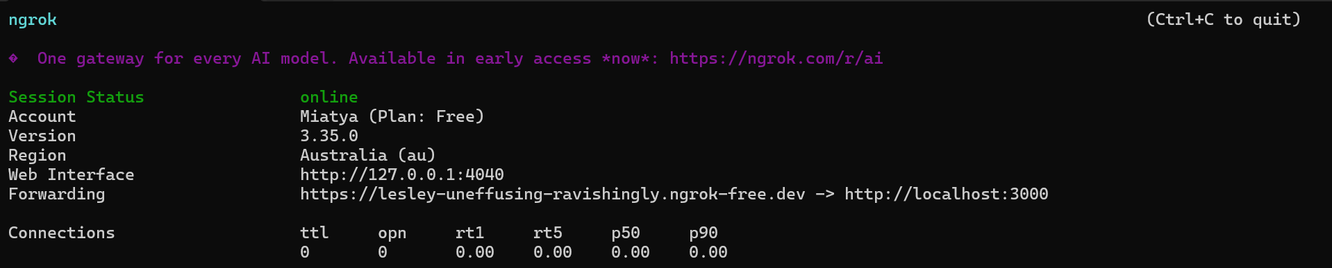 Ngrok Terminal Example